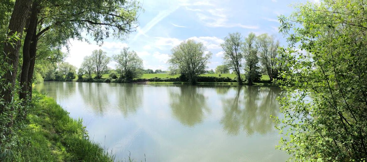 Angelteich